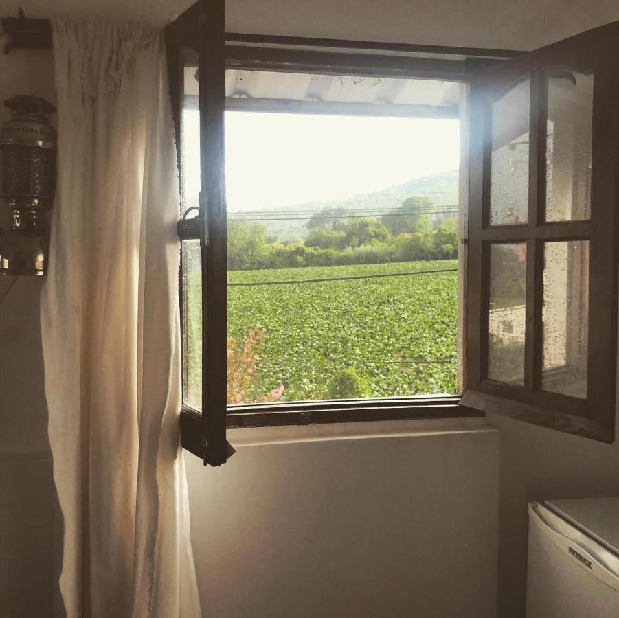 Hostal Los Faroles Chicoana ภายนอก รูปภาพ